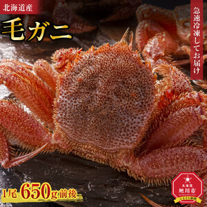 北海道産毛ガニ1尾 650g前後 | 毛ガニ_05581
