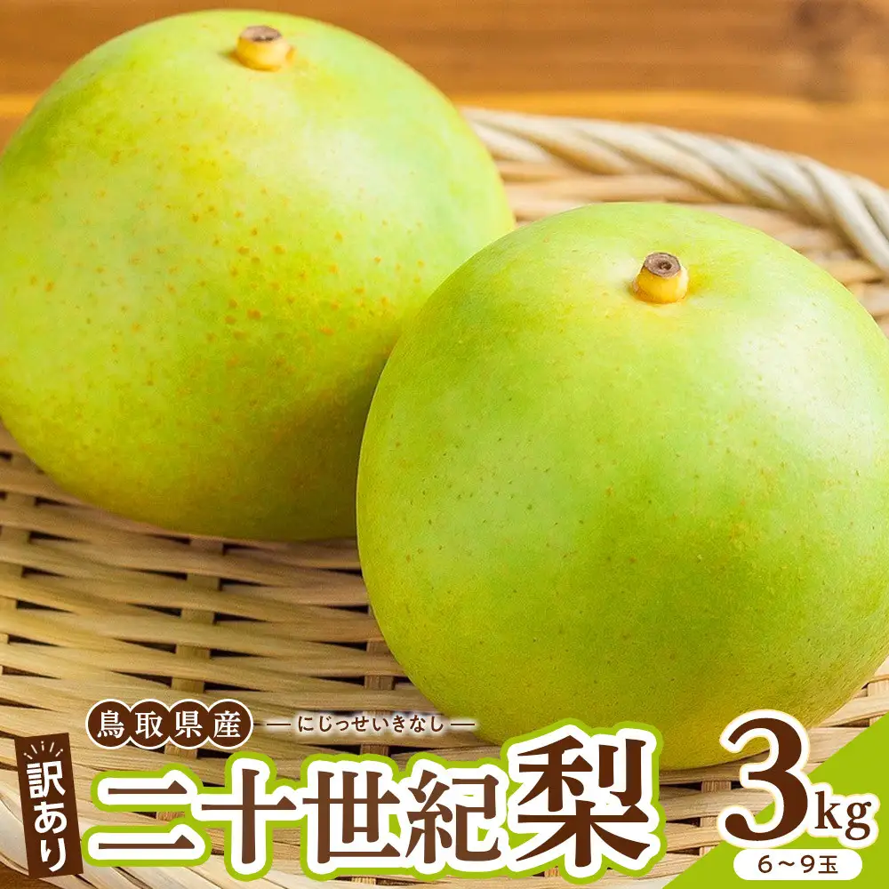 【先行予約】訳あり 二十世紀梨 3kg 梨