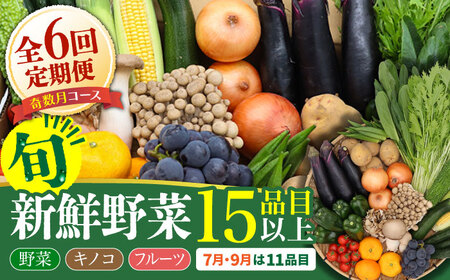 【6回定期便】【奇数月コース】野菜定期便 15品目以上 野菜 定期便[SCZ002]