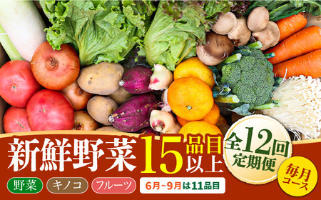 【12回定期便】野菜定期便15品目以上 [SCZ019] 