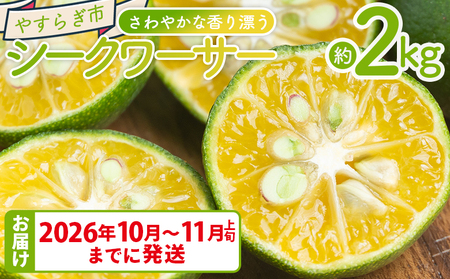さわやかな香り漂うシークワーサー 2kg シークヮーサー yr-0107