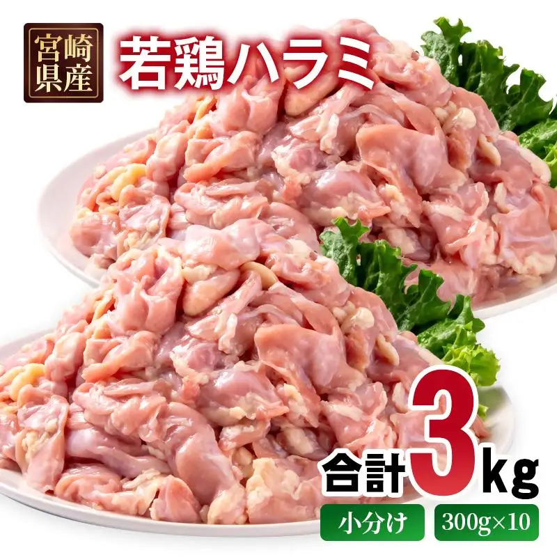 宮崎県産若鶏 ハラミ 3kg 小分け 300ｇ×10パック＜70-10a＞