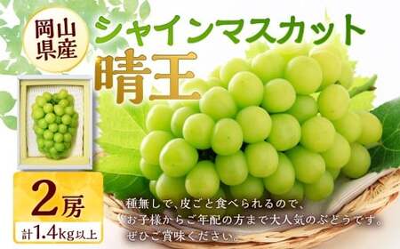 ぶどう 2026年 先行予約 シャイン マスカット 晴王 2房 合計1.4kg以上 【2026年9月上旬～10月上旬 発送予定】 マスカット ブドウ 葡萄 岡山県産 国産 フルーツ 果物 環山堂 くだもの お取り寄せ 贈り物 ギフト 国産