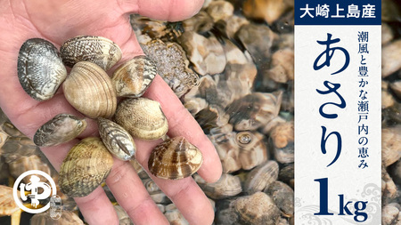 【4月末まで】 アサリ 1kg あさり 500g×2袋 砂出し済み