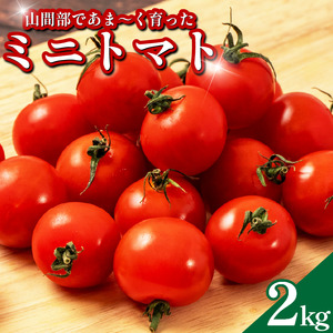 甘い ミニトマト 2kg 国産 送料無料 【 ミニトマト 】