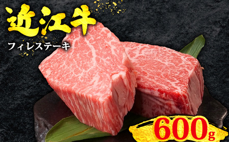 近江牛 ヒレステーキ (100g×6枚) [OS019] ヒレ 牛肉