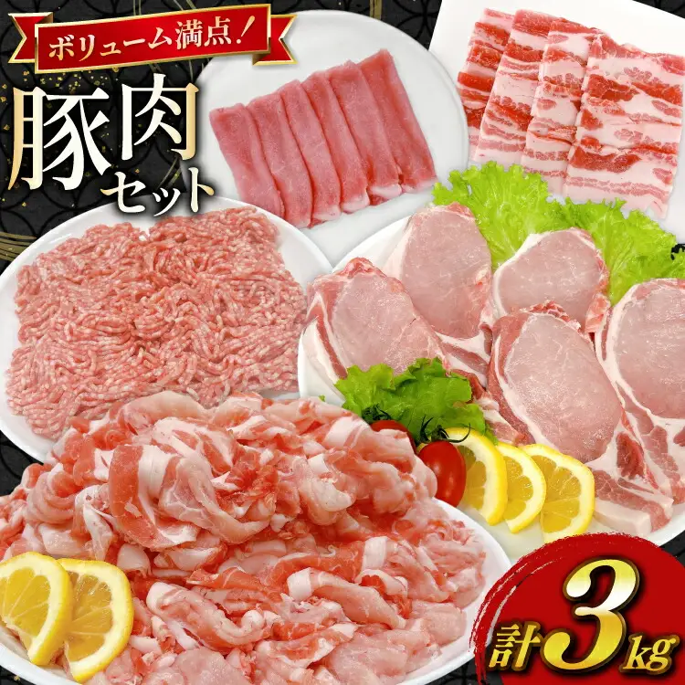 豚肉 宮崎県産豚肉 3kg 詰め合わせ セット [TRINITY 宮崎県 日向市 452061329]