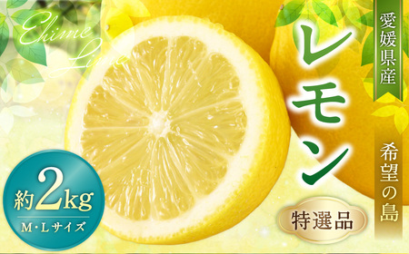【希望の島】レモン特選品中玉2kg 愛媛県 松山市 中島産 レモン れもん 檸檬 贈答用 果物 フルーツ 調味料 農家直送 国産 常温 【2026年6月下旬迄順次発送予定】（1012）
