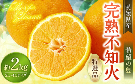 【希望の島】 完熟不知火 特選品 大玉 2kg 愛媛県 松山市 中島産 不知火 しらぬい 柑橘 贈答用 果物 くだもの フルーツ デザート 国産 常温 【2026年4月上旬～5月下旬迄順次発送予定】（1020）