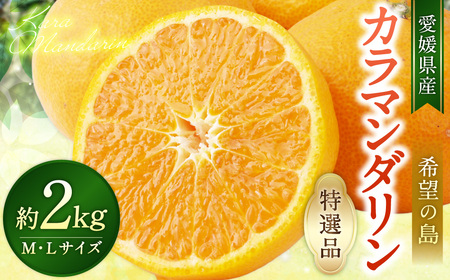 【希望の島】 完熟春みかん （カラマンダリン） 特選品 中玉 2kg 愛媛県 松山市 中島産 みかん ミカン 柑橘 贈答用 果物 くだもの フルーツ デザート 国産 常温 【2026年5月上旬～5月下旬迄順次発送予定】（1023）