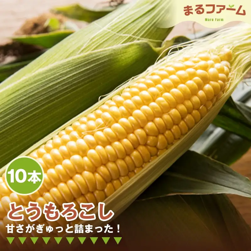 トウモロコシ　10本 ／ とうもろこし コーン 国産 新鮮 夏野菜 甘み 粒感 料理用 茹で用 焼き用 BBQ バーベキュー シンプル調理 大容量 日常使い 千葉県 特産 No.373