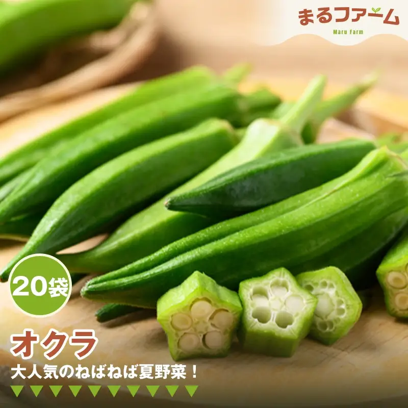 オクラ　20袋 ／ 新鮮 国産 野菜 夏野菜 ねばねば 食感 料理用 サラダ 天ぷら 和え物 下処理簡単 大容量 日常使い 千葉県 特産 No.378