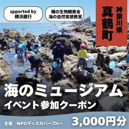 「海のミュージアム 磯の生物観察会・海の自然実感教室」参加費3000円分クーポン【1697095】