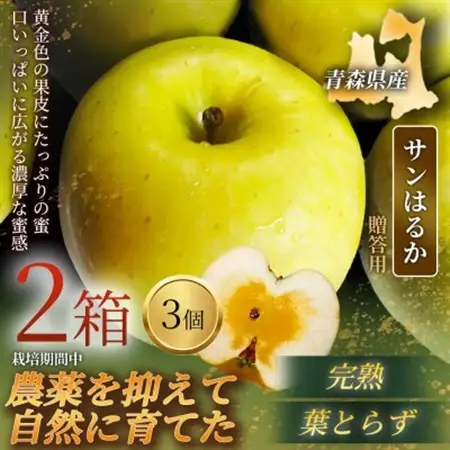 【青森直送 季節の味覚をお届け!】サンはるか 3個入×2箱(贈答用)青森産 産地直送 限定生産【配送不可地域：離島】【1700928】