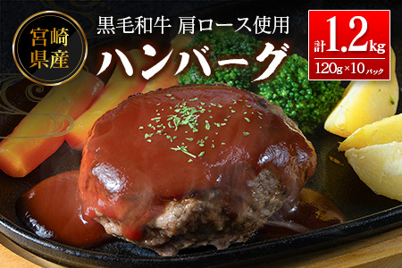 ハンバーグ 120g×10P 肉 牛肉 B677