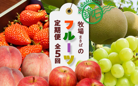 【2026年9月から発送開始】鏡石町 まきばのフルーツ定期便（桃 約2kg・和梨 約5kg・シャインマスカット2房・りんご 約10kg・いちご 約1kg）モモ もも ナシ なし ブドウ ぶどう リンゴ イチゴ 苺 福島県 鏡石町 F6Q-414