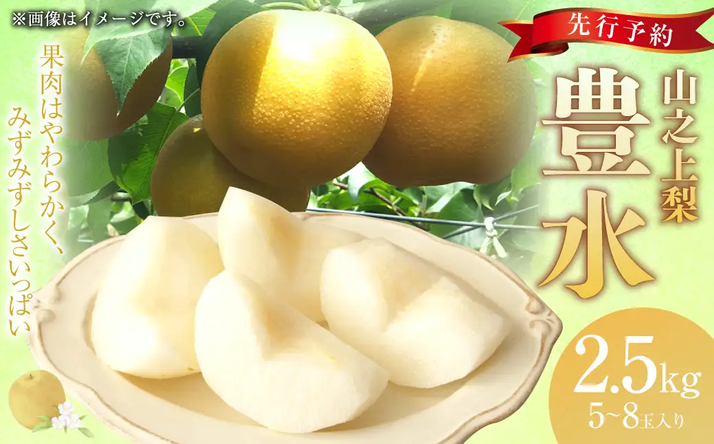 《先行予約》｢丸坂山田農園｣ 山之上梨 豊水 1箱 （ 約2.5kg ／ 5～8玉 ） 【2026年8月下旬～9月下旬 発送予定】