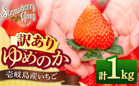 【家庭用】ゆめのか 約250g×4パック [JEM003] イチゴ 苺 訳あり 