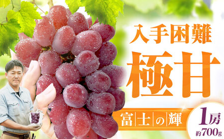 【先行予約 8月下旬発送】富士の輝 1房（約700g） ぶどう / ブドウ 葡萄 シャインマスカット[AFCK001]