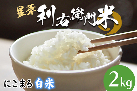 星華 利右衛門米 にこまる 白米 2kg [0298]