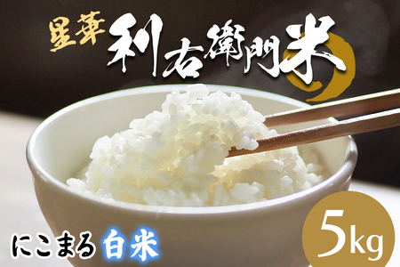 星華 利右衛門米 にこまる 白米 5kg [0299]