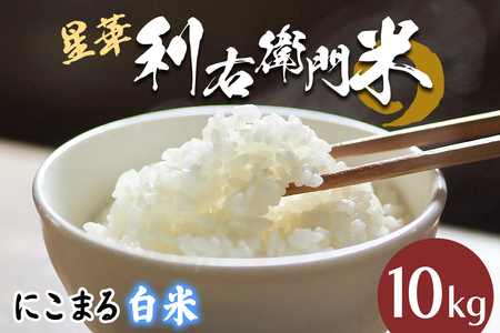 星華 利右衛門米 にこまる 白米 10kg [0300]