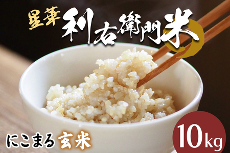 星華 利右衛門米 にこまる 玄米 10kg [0303]
