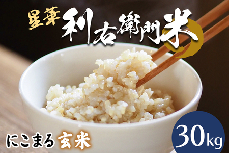 星華 利右衛門米 にこまる 玄米 30kg [0304]