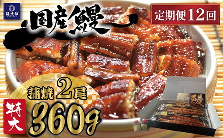 【定期便12ヶ月】[特大] 国産 関西風地焼き うなぎ【蒲焼】2尾 360g以上｜ うなぎ 泉大津 鰻 蒲焼き 冷凍鰻 活鰻 鰻次郎 うな重 土用の丑の日 お取り寄せ 高級 うなぎの日 ウナギ unagi ※離島への配送不可