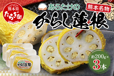 【熊本名物】からし蓮根 3本セット (約200g×3) 102-0504