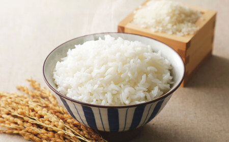 令和7年度産 栗東産 こんぜ清流米 コシヒカリ5kg / 白米 お米 ご飯 コメ 特別栽培米 近江米 / 栗東市 / レーク滋賀農業協同組合[BIBV008]