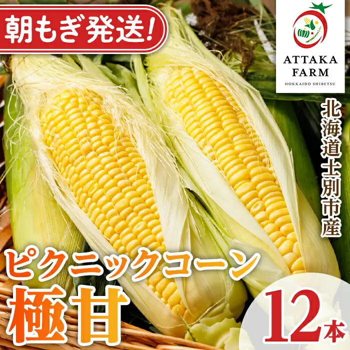 《先行予約受付中》北海道 士別市産 極甘 ピクニックコーン (12本) 【2026年8月以降順次発送】 とうもろこし トウモロコシ とうきび コーン野菜 新鮮 産地直送 甘い 北海道 北海道産 国産 旬 【あったかふぁーむ】【B7127】