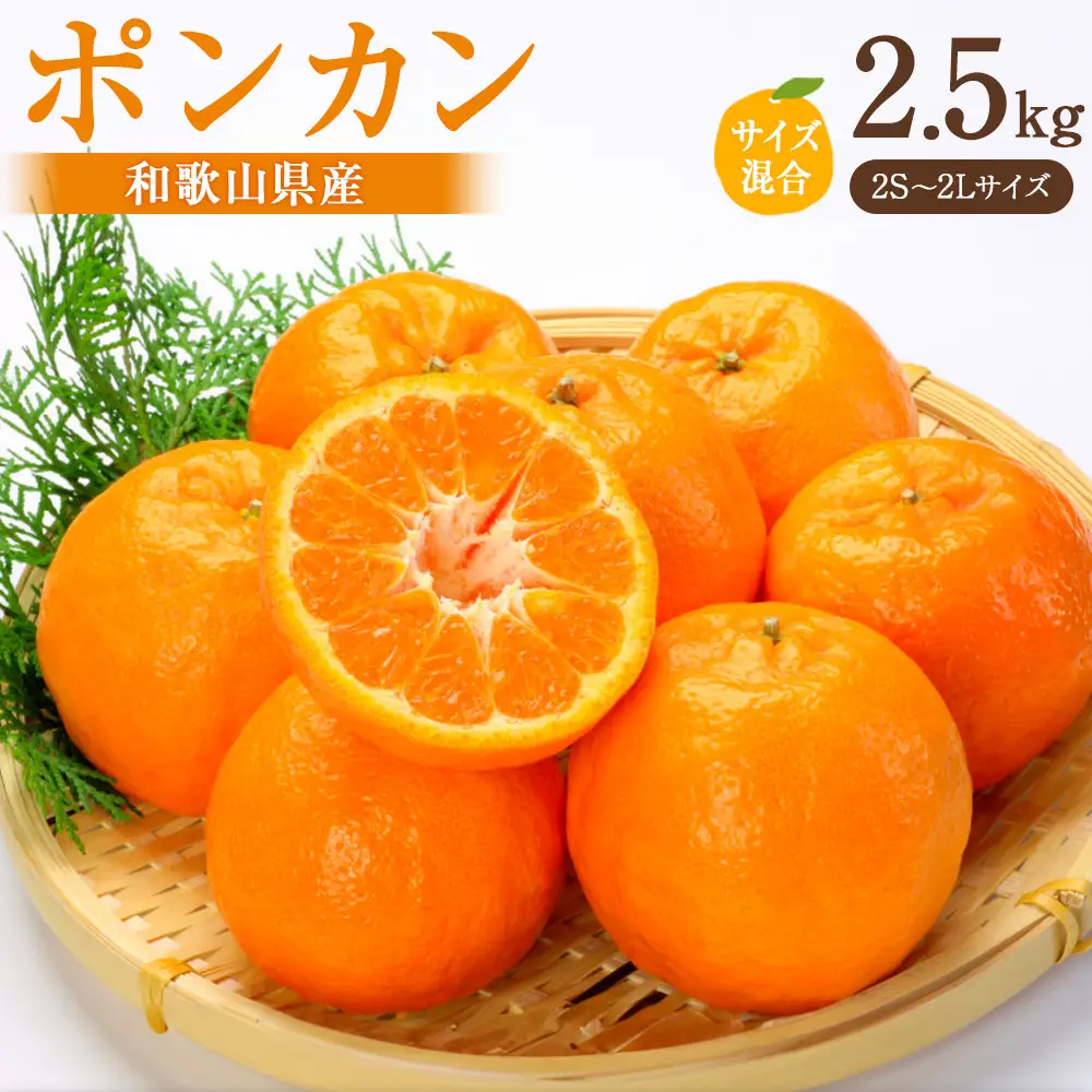 ポンカン 約2.5kg サイズ混合［2027年下旬頃より順次発送予定］