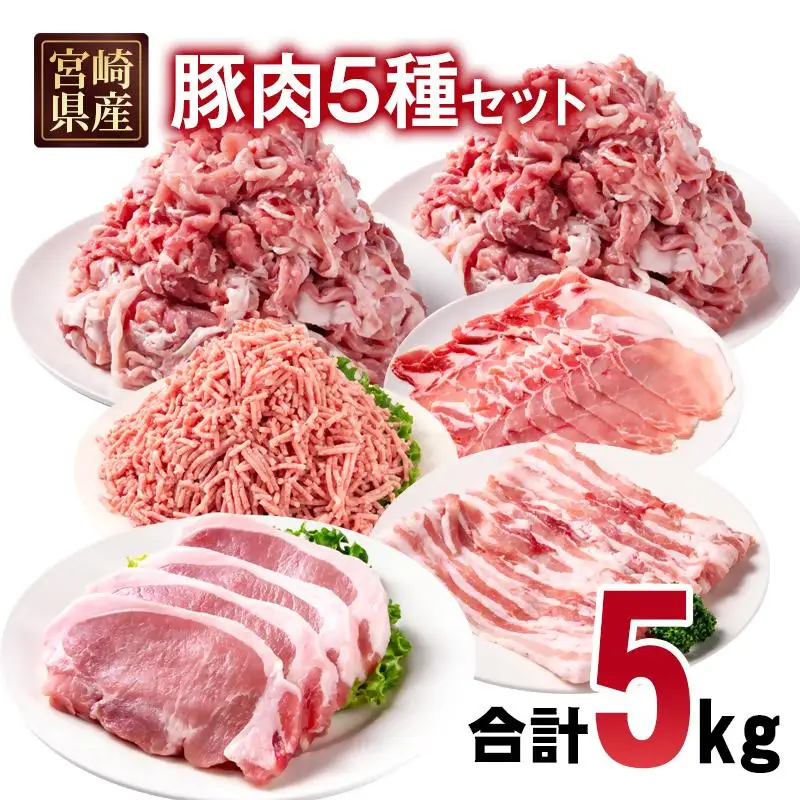 宮崎県産豚肉 5種 合計5kg セット 小分け24パック＜70-25a＞