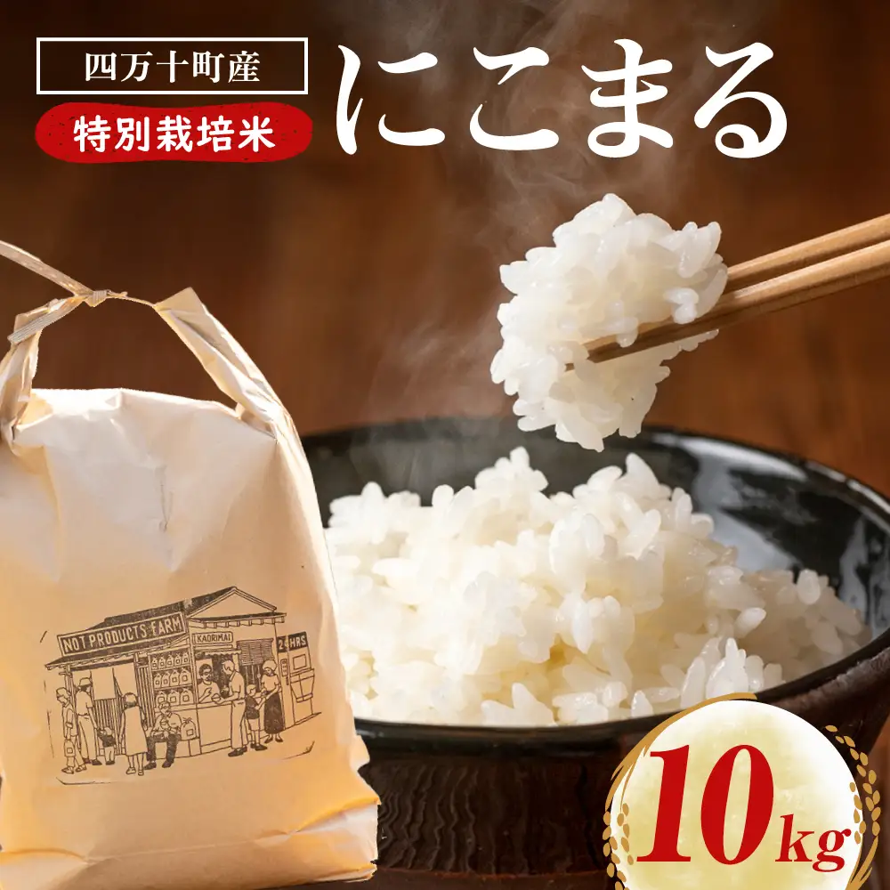 【にこまる】【数量限定】四万十清流育ち!つや甘み際立つ にこまる 10kg　米 こめ 白米 ／ Fnp-06