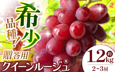 【先行受付】信州産 クイーンルージュⓇギフト用 約1.2kg(1房～3房)