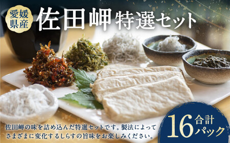 佐田岬特選セット 合計16パック ／ 生しらす 蒸ししらす 釜あげしらす ちりめん ちりめん佃煮 岬ちりめん わかめちりめん 明太ちりめん 山椒ちりめん ちりめんじゃこ天 あかもくプレーン あかもく しらす シラス 魚 魚介類 魚介 海藻 海鮮 セット 愛媛県 冷凍【えひめの町（超）推し！（伊方町）】（843-1）