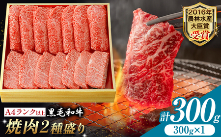 A5 A4 ランク 厳選 黒毛和牛 焼肉 2種盛り 300g 《30日以内に出荷予定(土日祝除く)》熊本県 大津町 和牛焼肉LIEBE ステーキ 冷蔵 リーベ