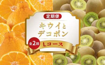 旬のフルーツ定期便 2回 Lコース フルーツ 定期便