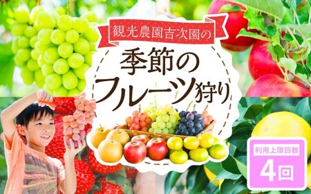 観光農園吉次園の「旬を味わうフルーツ狩りパスポート」（計4回） 果物狩り フルーツ 狩り 食べ比べ 食べ放題 季節 旬 家族 体験チケット チケット 体験 熊本県