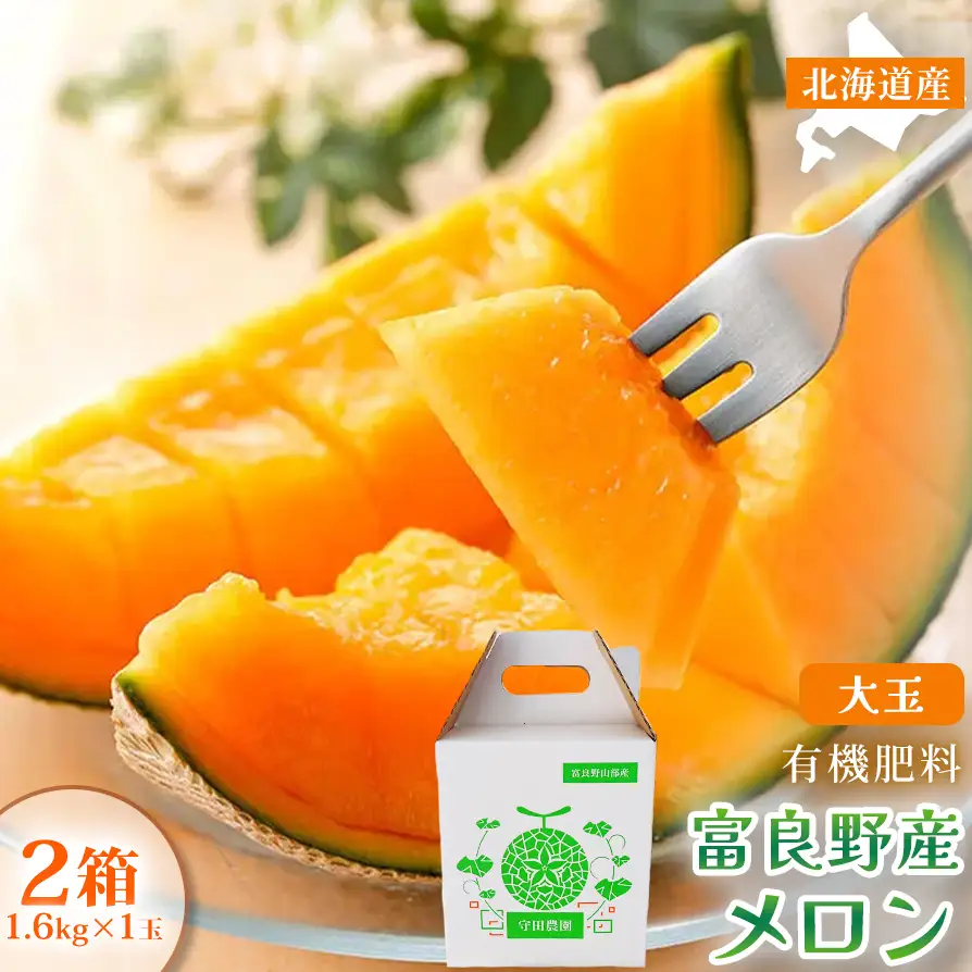 【糖度15度以上 赤肉メロン】富良野産 メロン 1.6kg×1玉 2箱 計3.2kg｜北海道富良野市 7～8月発送 ご褒美 プレゼント メロン 赤肉メロン 富良野メロン 果物 フルーツ とろける甘さ 夏季限定 旬の味覚 芳醇な香り