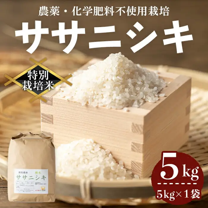 ≪令和7年産≫ 登米市産 ササニシキ 5kg×1袋 特別栽培米 農薬・化学肥料不使用 精米 お米 おこめ 米 コメ 白米 ご飯 ごはん おにぎり お弁当 【株式会社いなほ】tm550
