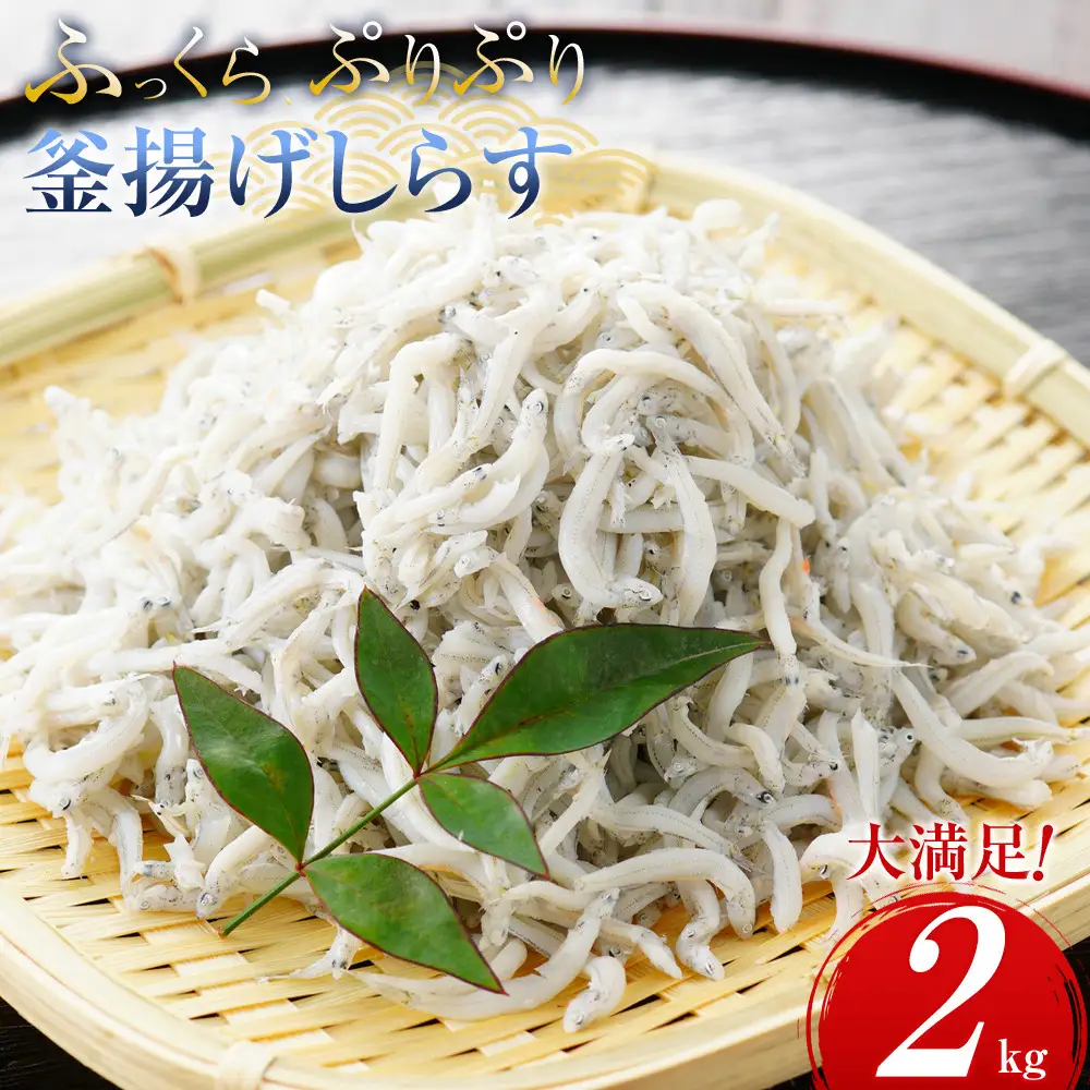 ＼注文数急上昇／釜揚げしらす 2kg しらす　