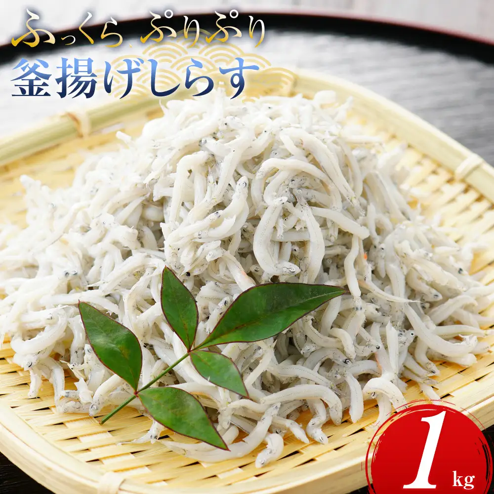 ＼注文数急上昇／釜揚げしらす 1kg しらす　