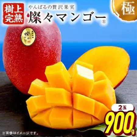 【2026年7月から順次発送・最高級ランク極】燦々マンゴー900g(2玉)_マンゴー_【1622439】