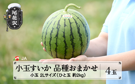 尾花沢産小玉すいか スイカ 2Lサイズ×4玉 令和8年産 ja-suk2x4