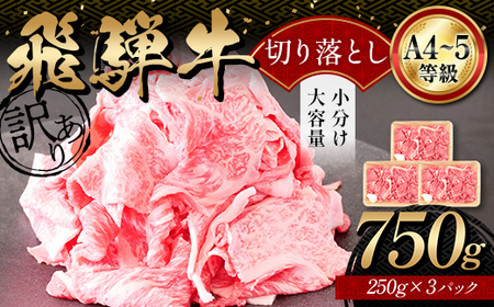 A4等級以上 飛騨牛 焼肉 切り落とし 250g × 3 計 750g 牛肉 ブランド牛 肉 切落し わけあり ぎゅうにく にく ひだぎゅう ひだうし 訳あり 商品 ワケアリ 不揃い 大容量 切り落とし きりおとし 小分け 冷凍 ネオプライムヒグチ 食品 訳有 焼肉セット 焼肉用 選べる 肉のひぐち F6M-329