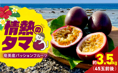 【 2026年 先行予約 】【 情熱のタマ 】 奄美産 パッションフルーツ 3.5kg （ 45玉前後 ） A203-001-02 フルーツ 果物 果実 期間限定 限定 甘酸っぱい 濃厚 美味しい おいしい 産地直送 奄美あさひ農園 ふるさと納税 鹿児島 奄美市 おすすめ ランキング プレゼント ギフト