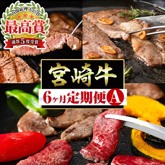 【定期便・全6回】宮崎牛定期便＜Aセット・焼肉＞ お楽しみ便 牛肉 国産 定期 ヒレ肉 モモ ウデ ロース バラ 宮崎県産 黒毛和牛 焼肉 ステーキ 【R-100】【ミヤチク】