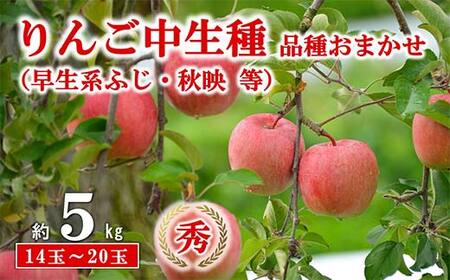 【令和8年産先行予約】 JA 中生種りんご 「早生系ふじ (涼香の季節・昴林)・秋陽・秋映 等」 約5kg (14～20玉 秀) 《令和8年9月下旬～10月中旬発送》 『JA山形おきたま』[2655]